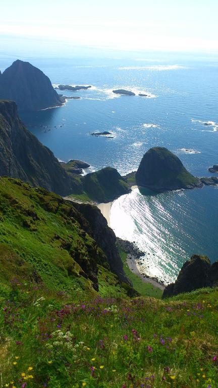 Lofoten Resort Sørvågen Extérieur photo